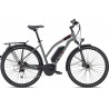 Breezer Powertrip + ST E-Bike Pedelec 2021 wet gray RH 45cm