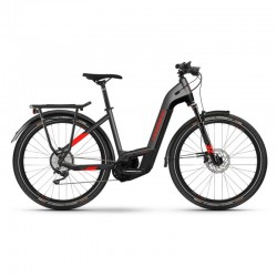 Haibike Trekking 9 i625Wh LowStep 2021 E-Bike anthracite red RH 50cm Special